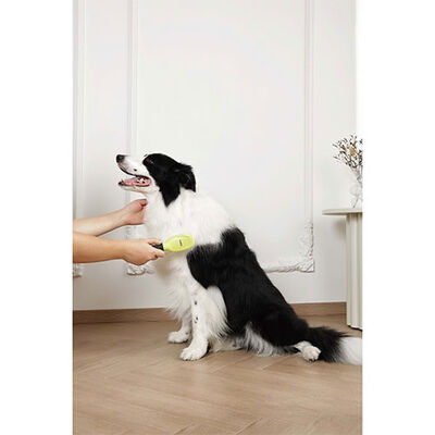 M-Pets Click & Groom Massage Pin Brush for Cats & Dogs 22cm