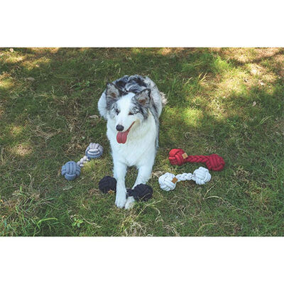 M-Pets Coto Duo Ball Cotton Rope Dog Toy 28 cm