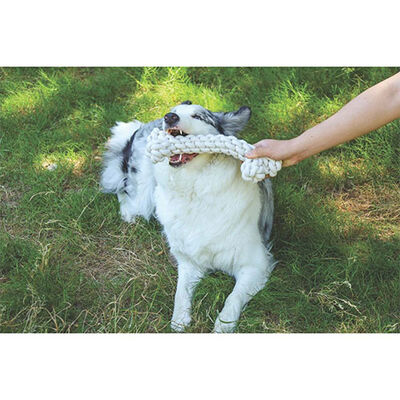 M-Pets Coto Braided Bone Dog Toy Durable Cotton White 30cm