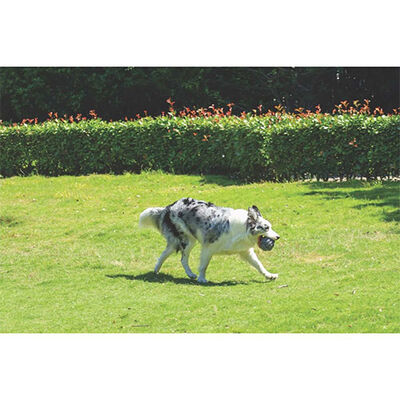M-Pets Coto Knitted Rope Ball Dog Toy Grey 9.5 cm