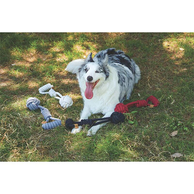 M-Pets Coto Red Tug Ball Braided Cotton Dog Toy 36cm
