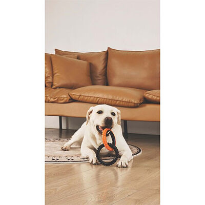 M-Pets Double Ring King Durable Tug & Fetch Dog Toy 20cm