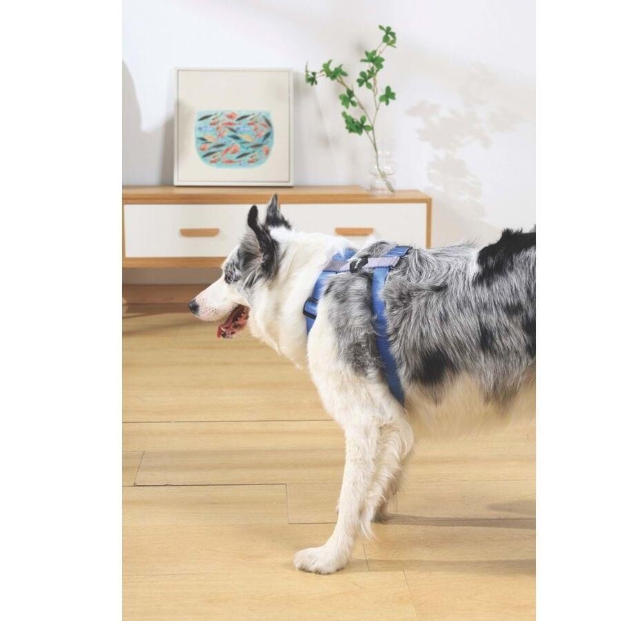 M-Pets Gentle Dog Harness Padded Comfort Blue XS