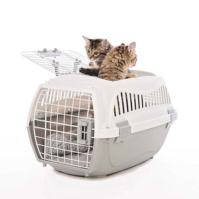 M-Pets Giro Pet Carrier Durable Travel Crate Beige 51.6cm