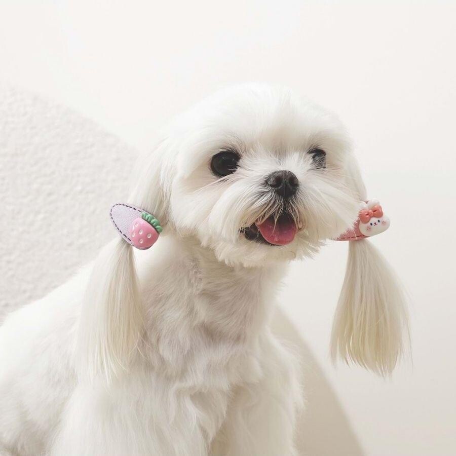 M-Pets Glam Strawberry Pet Hair Clip Pink Accessory 4x2 cm