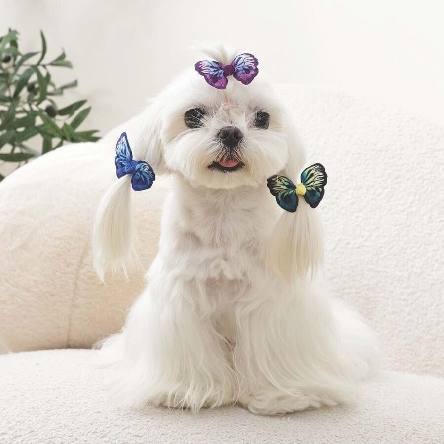 M-Pets Glam Butterfly Pet Hair Clips for Cats & Dogs 3-Pack