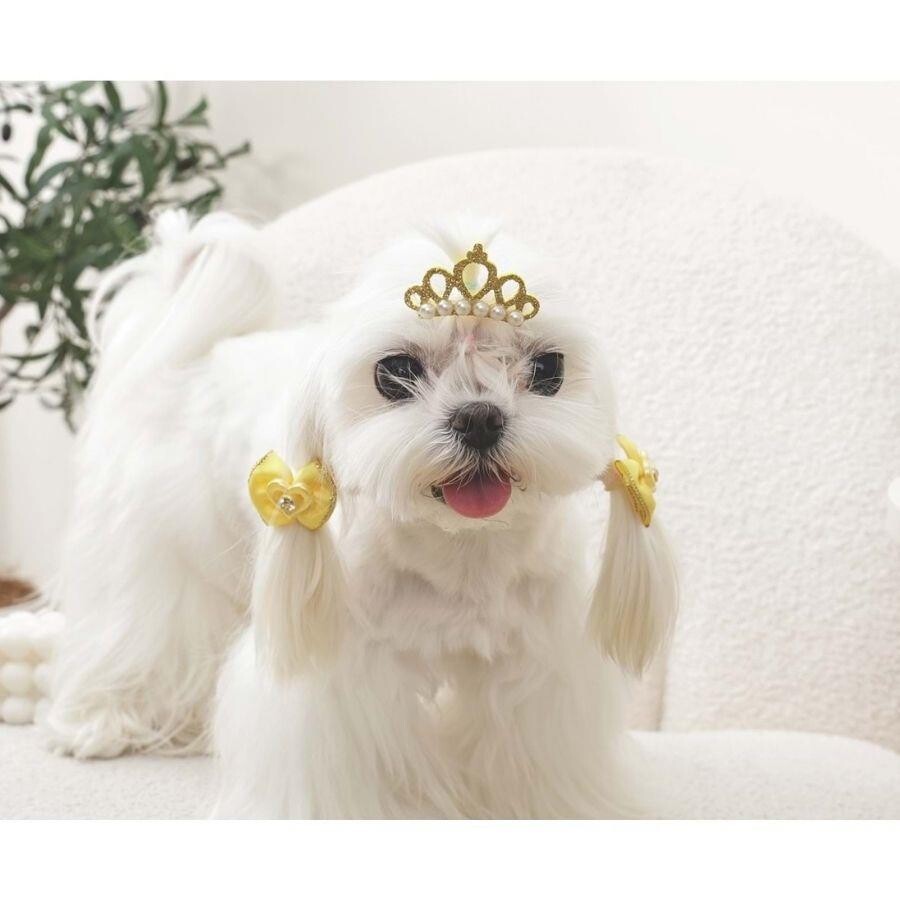M-Pets Glam Crown & Bow Accessory Set for Cats and Dogs Yellow