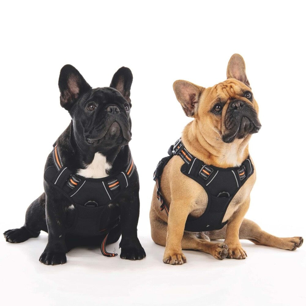 M-Pets Hiking Reflective Soft Dog Harness Orange Size S