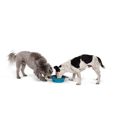 M-Pets Foldable Silicone Pet Travel Bowl for Food & Water Blue 420ml