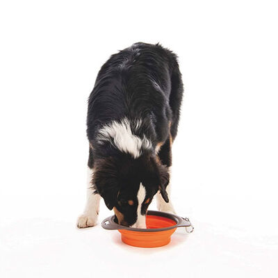 M-Pets Collapsible Silicone Pet Bowl Large Orange 1230 ml