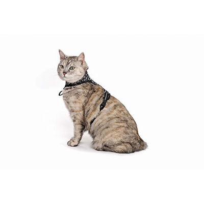 M-Pets Letsgo Cat Harness and Leash Set Black 30-42 cm