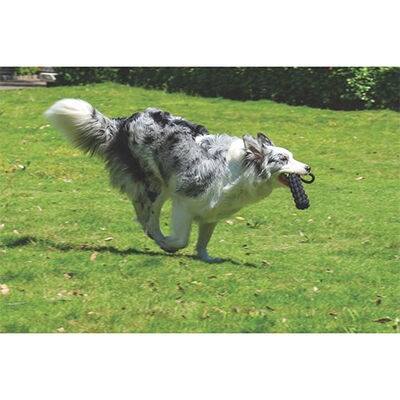 M-Pets COTO Black Loop Bar Cotton Rope Dog Toy 34 cm