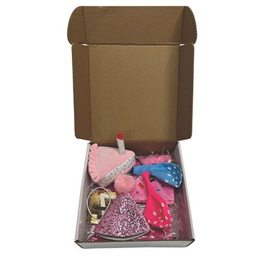 M-Pets Party Time Pink Birthday Set for Female Dogs 20x20x7 cm