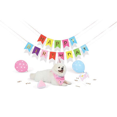 M-Pets Party Time Pink Birthday Set for Female Dogs 20x20x7 cm