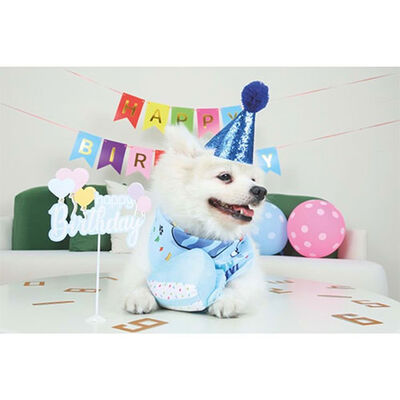 M-Pets Party Time Dog Birthday Set for Boys 20x20x7 cm