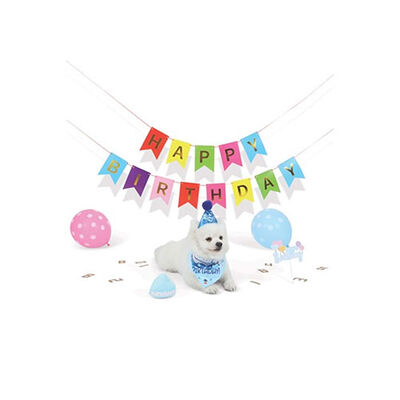 M-Pets Party Time Dog Birthday Set for Boys 20x20x7 cm