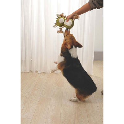M-Pets Rosie Eco Plush Dog Toy Sustainable Fiber Fill 11in