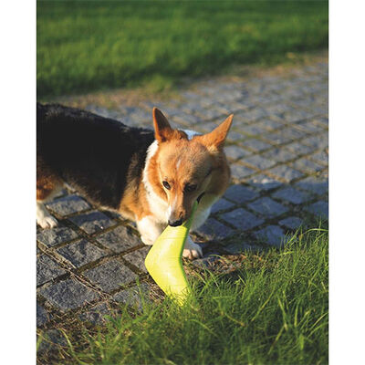 M-Pets Splash Frisbee Floating Dog Toy Orange 19x23x3 cm