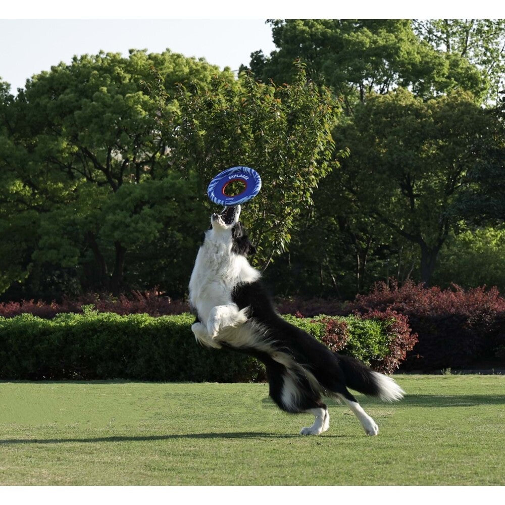 M-Pets Sprintpuff Frisbee Dog Toy Blue 24 cm - Floats on Water
