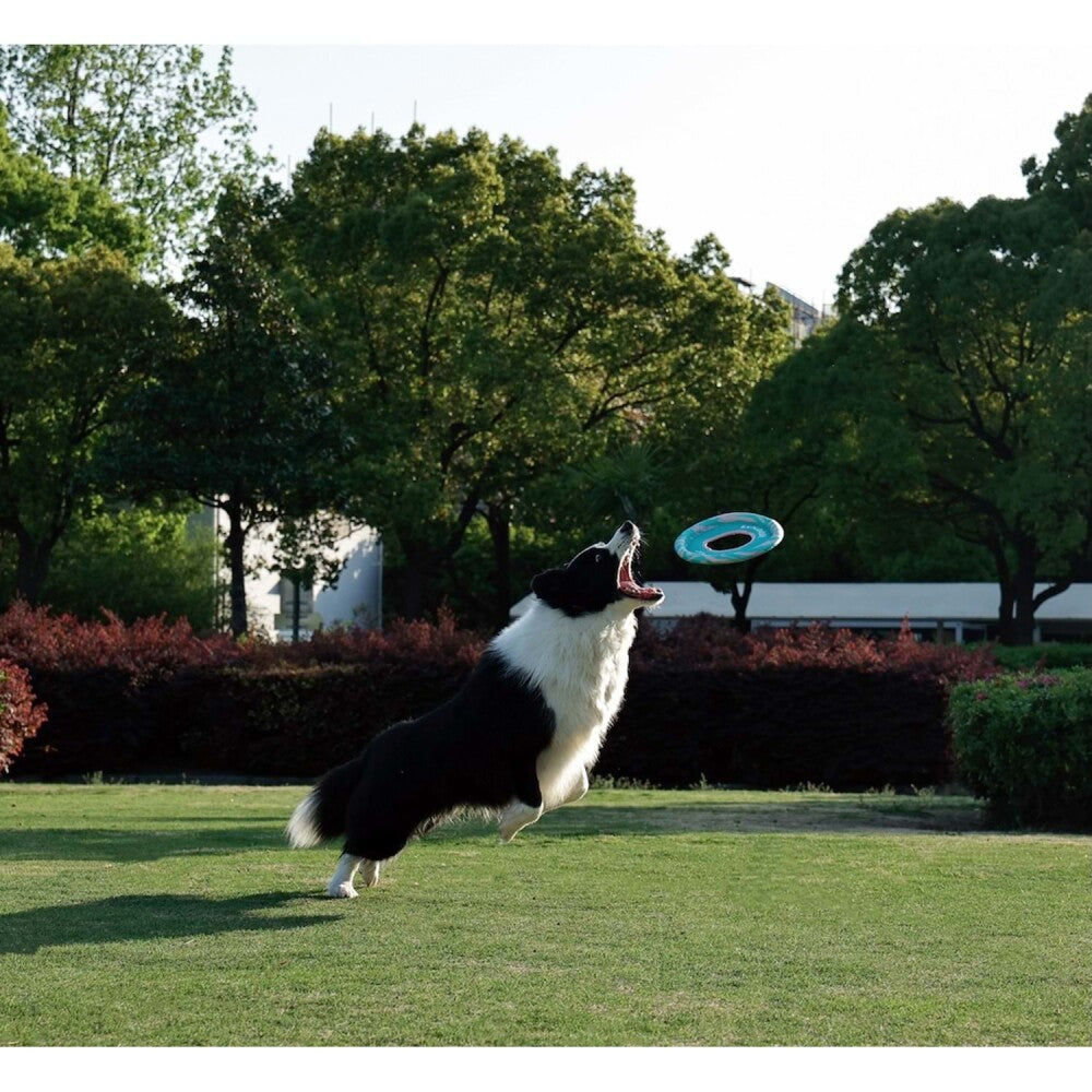 M-Pets Sprintpuff Frisbee Dog Toy, Floating Green, 24 cm