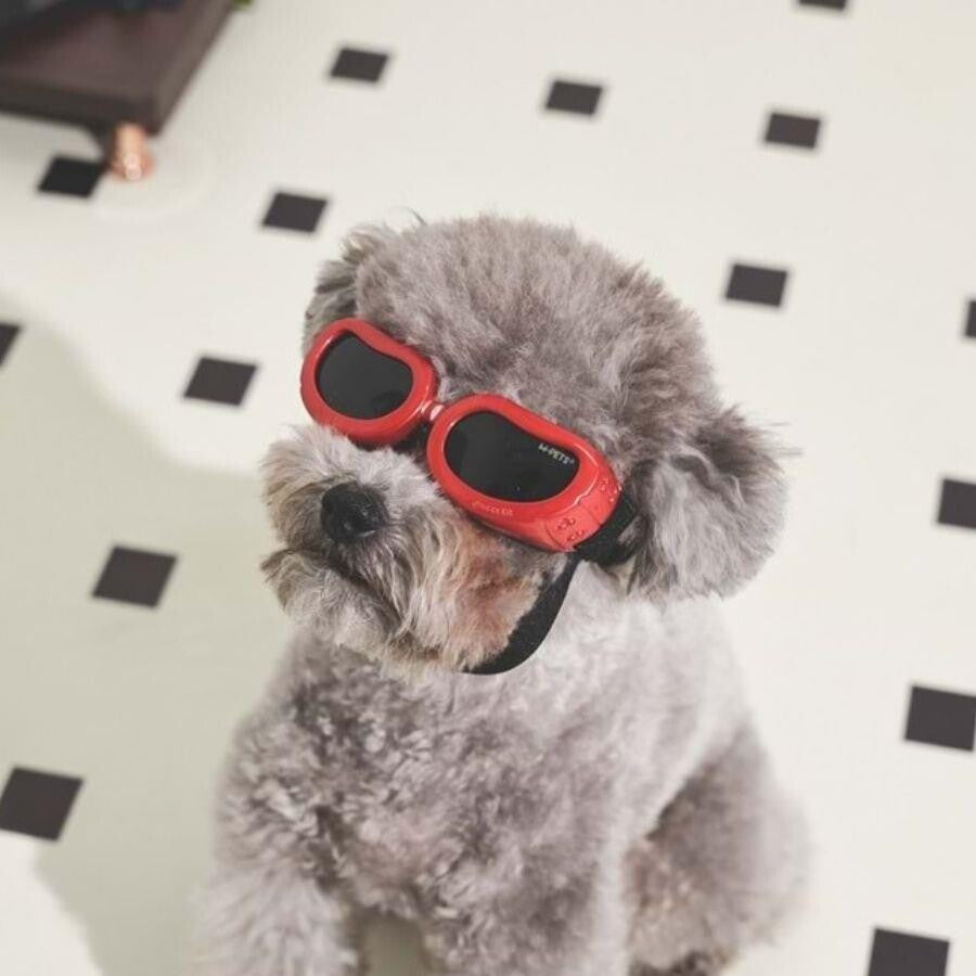 M-Pets Sunny Daytrip Dog Goggles Red UV Protection 15.2x4.9cm