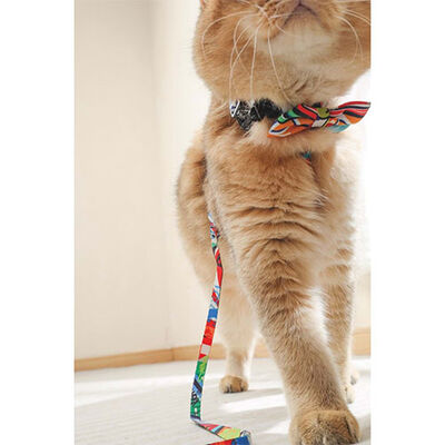 M-Pets Urban Style Freestyle Bow Tie for Large Dogs 10x6.9cm