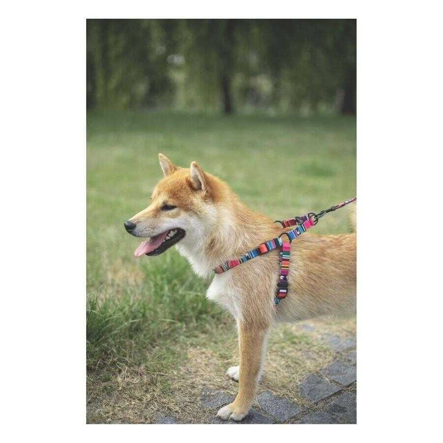 M-Pets Urban Style Jazz Stripes Dog Chest Harness M - Recycled Polyester