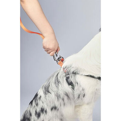 M-Pets Wild Jungle Orange Dog Leash Durable Polyester S-M 120cm