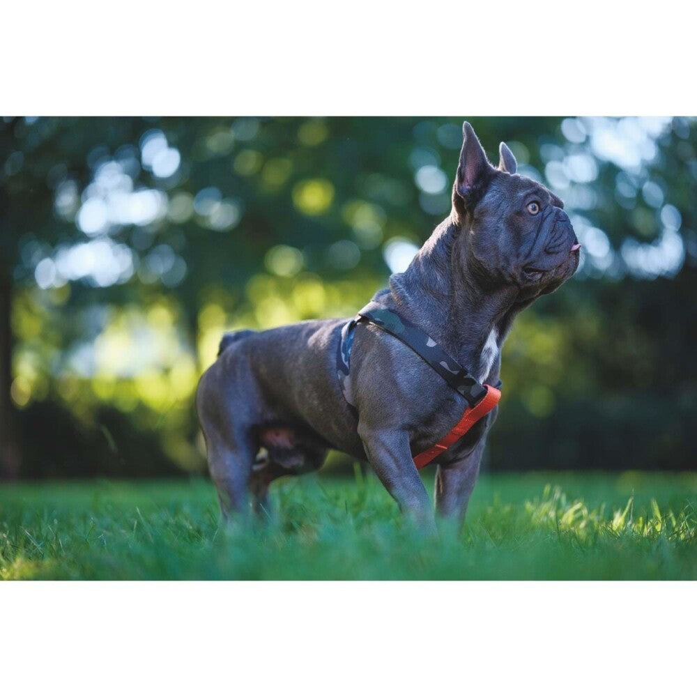M-Pets Wild Jungle Dog Harness Adjustable Comfort Large