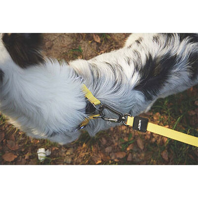 M-Pets Wild Safari Dog Leash Durable Yellow L-XL 2x120cm