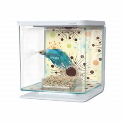 Marina Betta Starter Kit Fireworks Design 2L