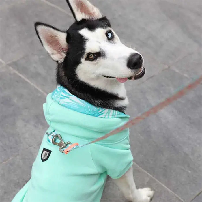 Lindo Mint Green Dog Sweatshirt Warm Pet Apparel
