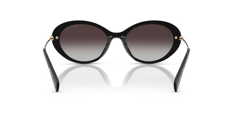 Michael Kors 0MK2245U 30058G53 Women's Acetate Sunglasses 53mm