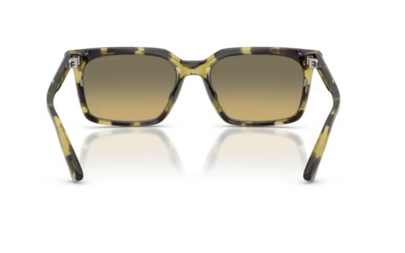 Michael Kors MK2282U Olive Tortoise Rectangle Sunglasses 55mm