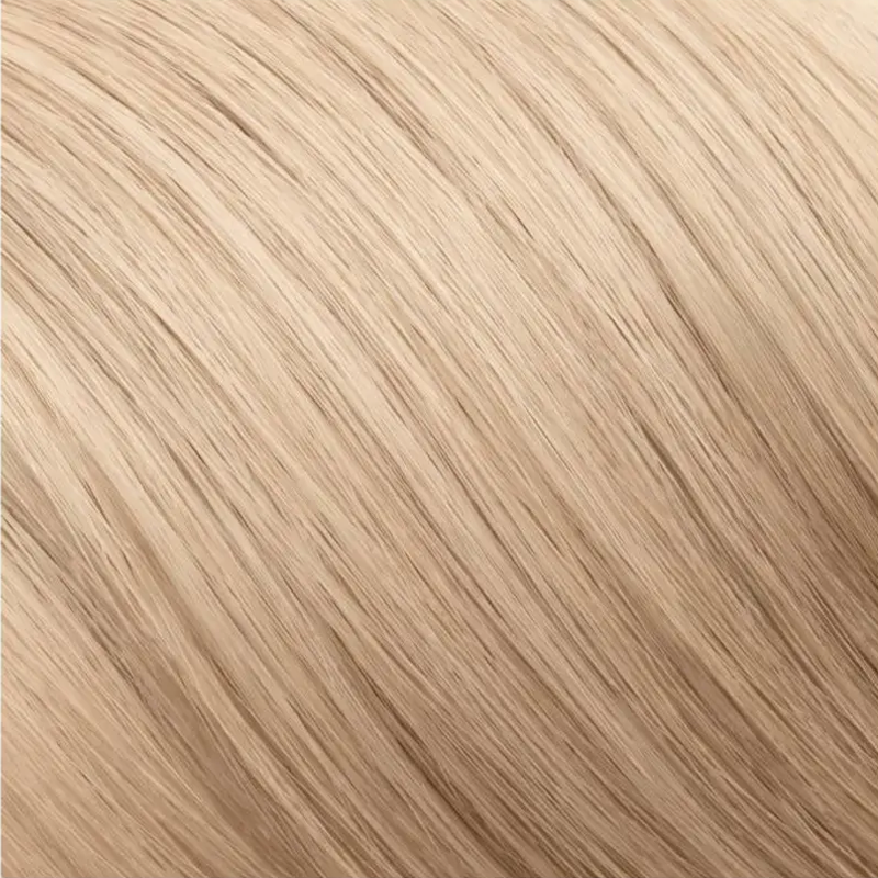 Naturigin 10.2 Very Light Ash Blonde Organic Hair Color Kit