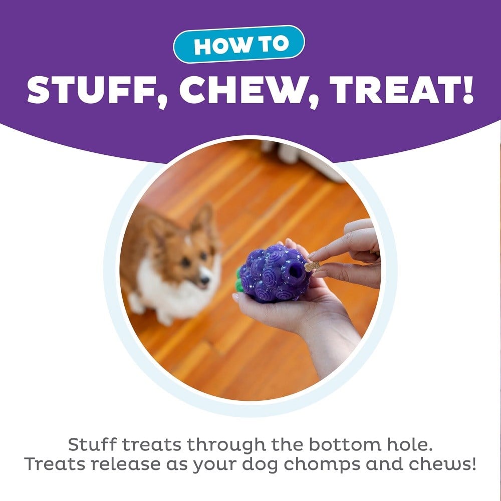 Petstages Nina Ottosson Dental Grapes Dog Chew Toy Medium