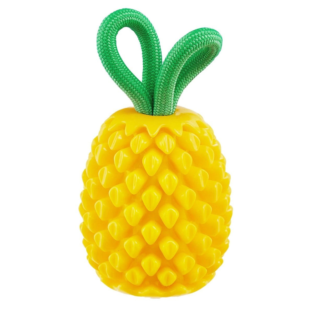 Petstages Nina Ottosson Dental Pineapple Dog Chew Toy