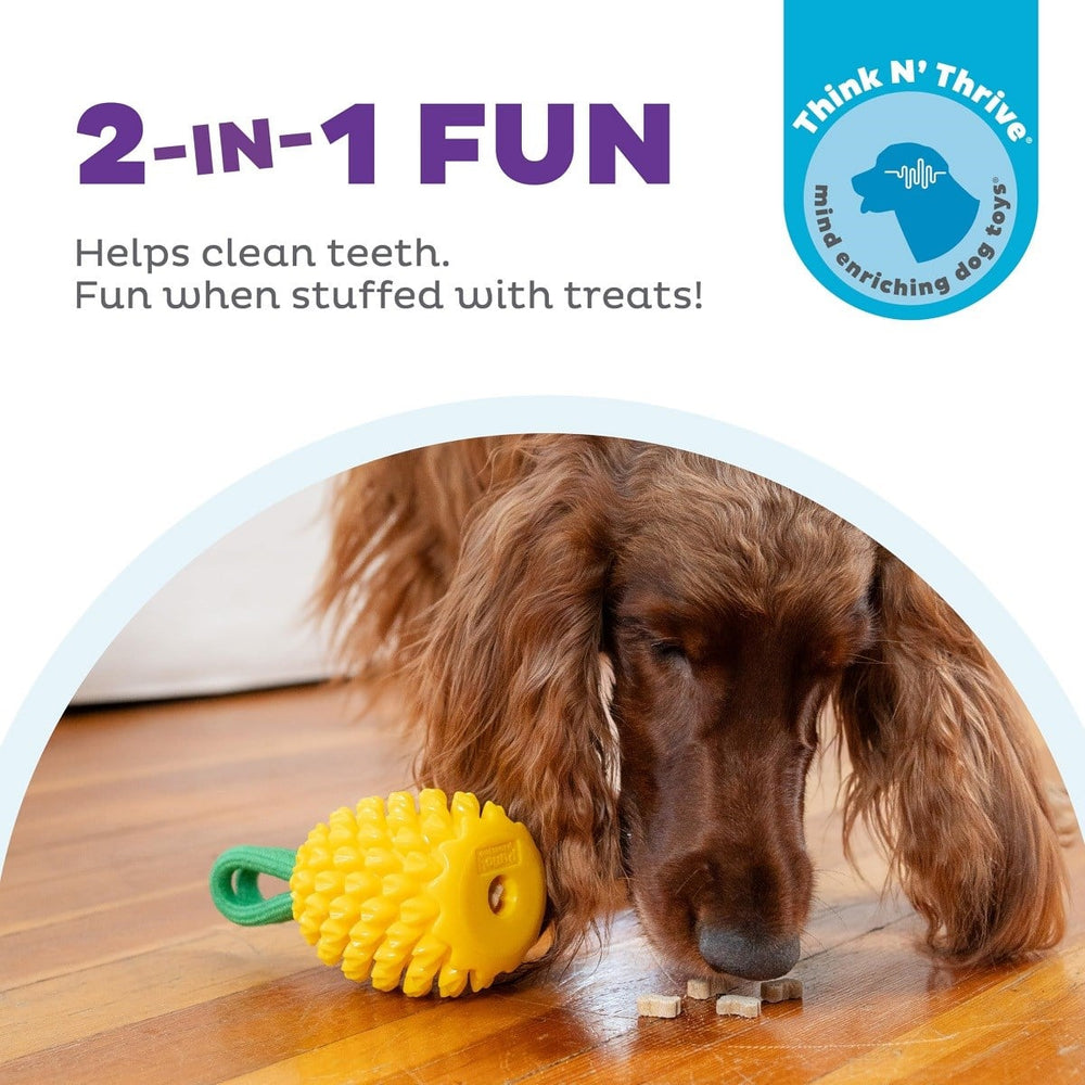 Petstages Nina Ottosson Dental Pineapple Dog Chew Toy