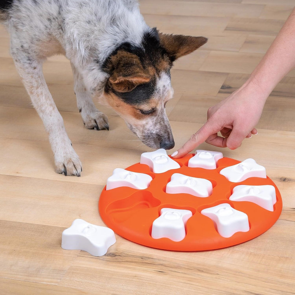 Petstages Nina Ottosson Dog Smart Level 1 Interactive Dog Puzzle Toy