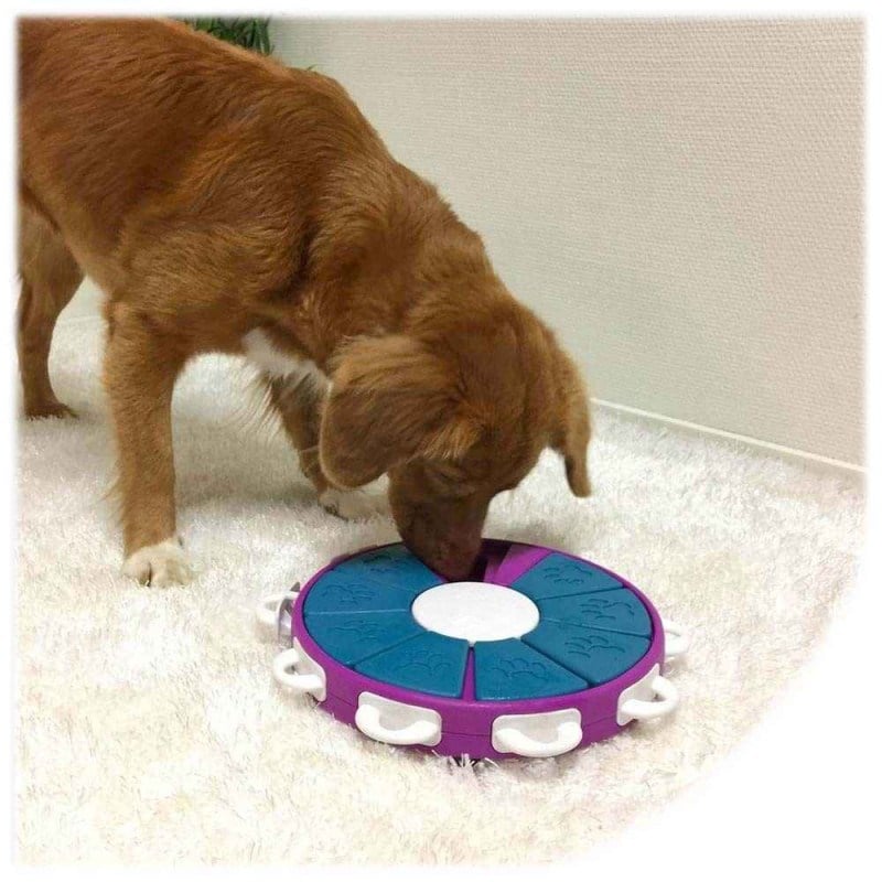 Petstages Nina Ottosson Dog Twister Advanced Puzzle Toy 26cm