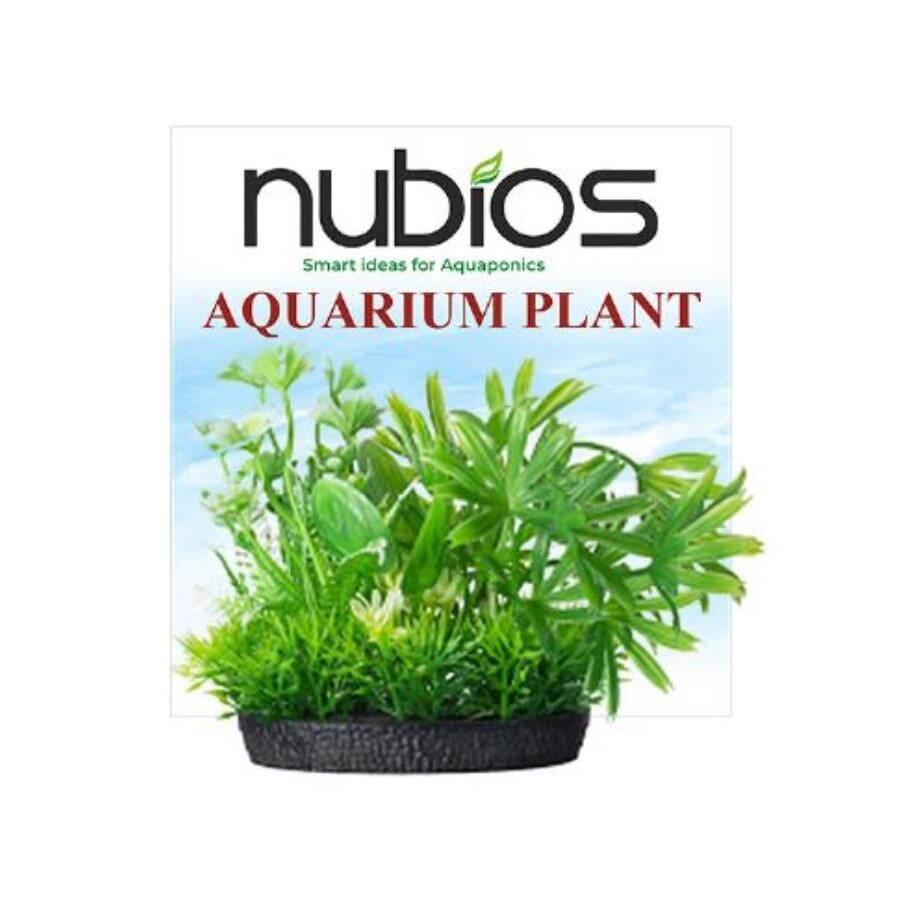 Nubios Square Base Plastic Aquarium Plant 10 cm
