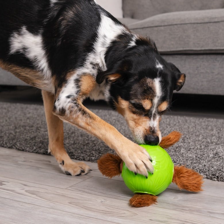 Petstages Nina Ottosson Snuffle N'Trt Ball Dog Puzzle Toy Green