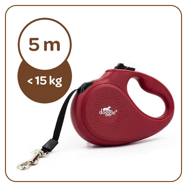 Doggie Master Automatic Retractable Dog Leash Blue Small 5m