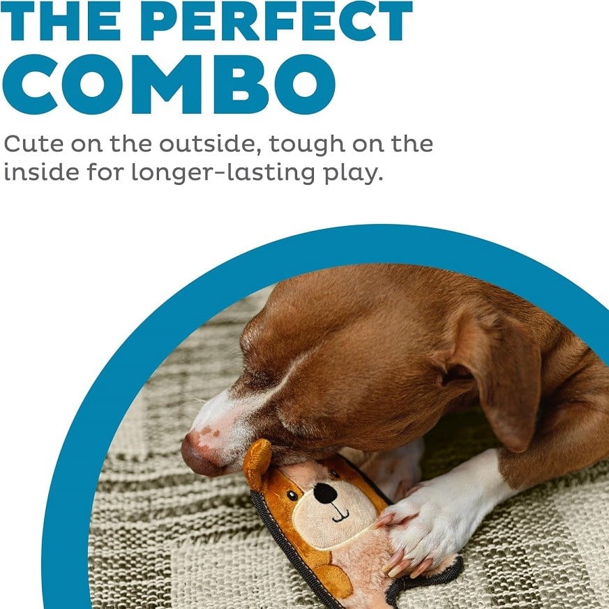 Petstages Outward Hound Invincibles Durablez Puppy Toy Xsmall