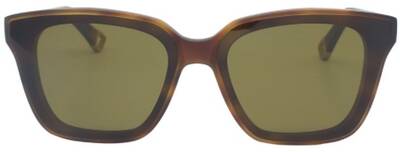 Papary P360 702 Brown Frame Sunglasses with Organic Lenses