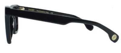 Papary P362 001 Black Frame Organic Lens Sunglasses Standard