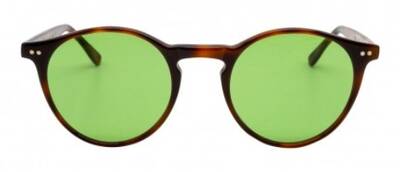 Papary P393 238 Brown Tortoise Shell Sunglasses