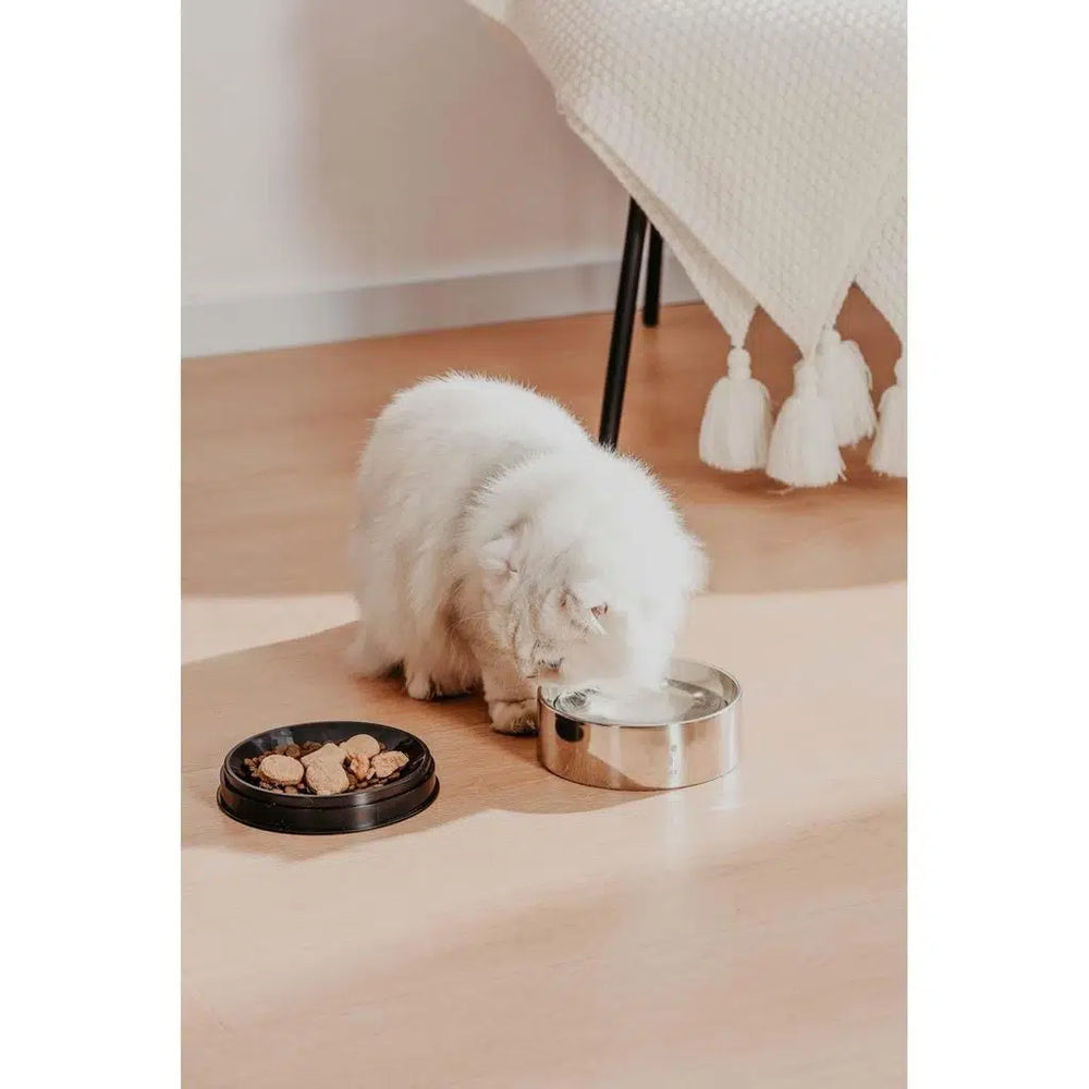 Pawgether Bowl 2 Stainless Steel Pet Food & Water Bowl 400ml