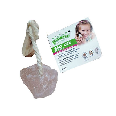 Pawise Himalayan Salt Lick Stone with Rope for Rodents 1 pc