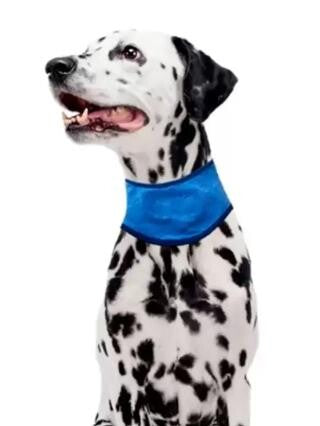 Pawise Cooling Dog Bandana Lightweight Heat Relief M 38-46 cm